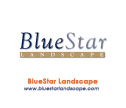 BlueStar Landscape Logo With White Background